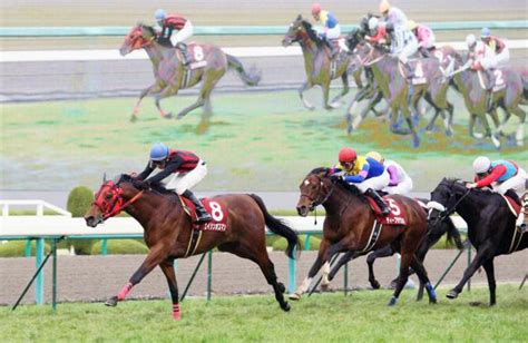 2002年 馬|競馬